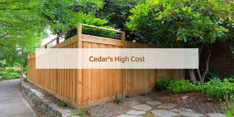 Disadvantages of Cedar