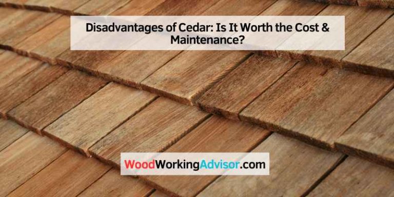 Disadvantages of Cedar
