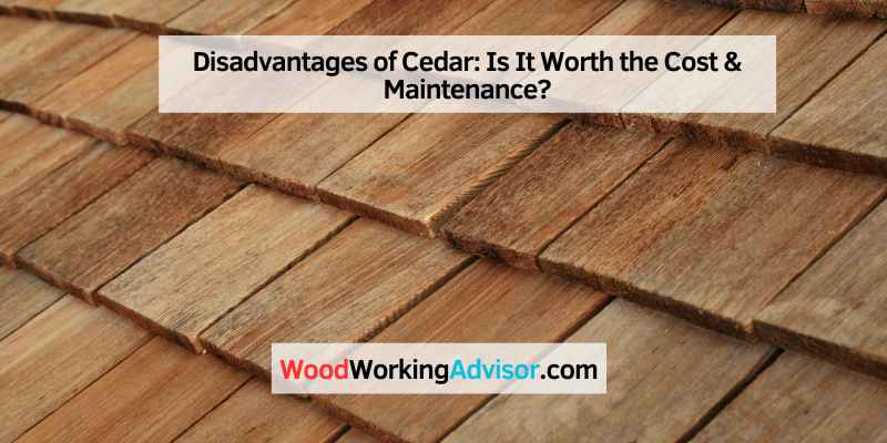 Disadvantages of Cedar