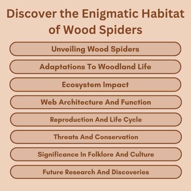 Discover the Enigmatic Habitat of Wood Spiders