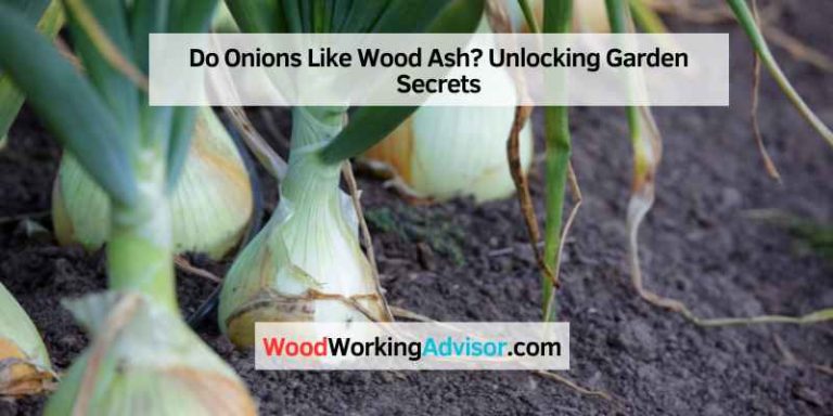 Do Onions Like Wood Ash