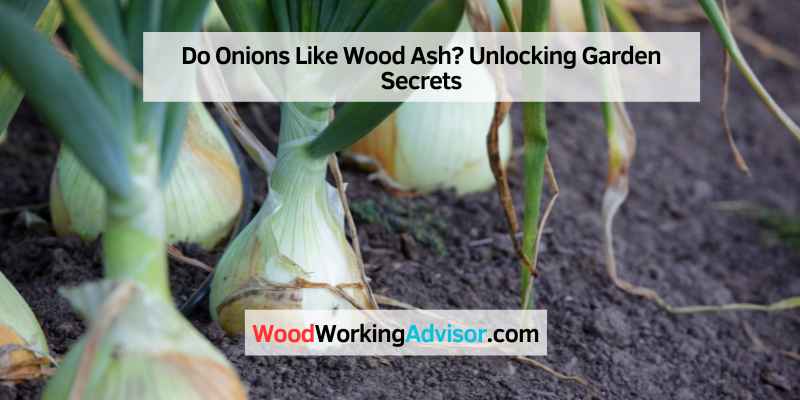 Do Onions Like Wood Ash