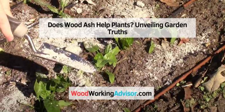 Does Wood Ash Help Plants