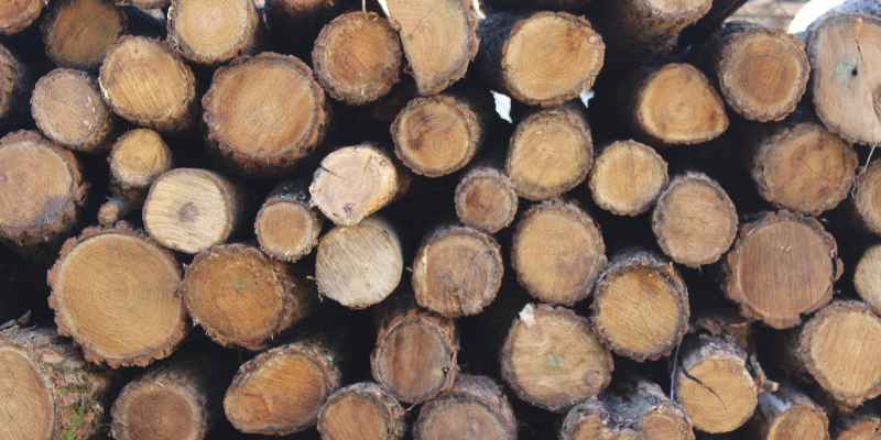 Does Wood Expand in Cold or Heat