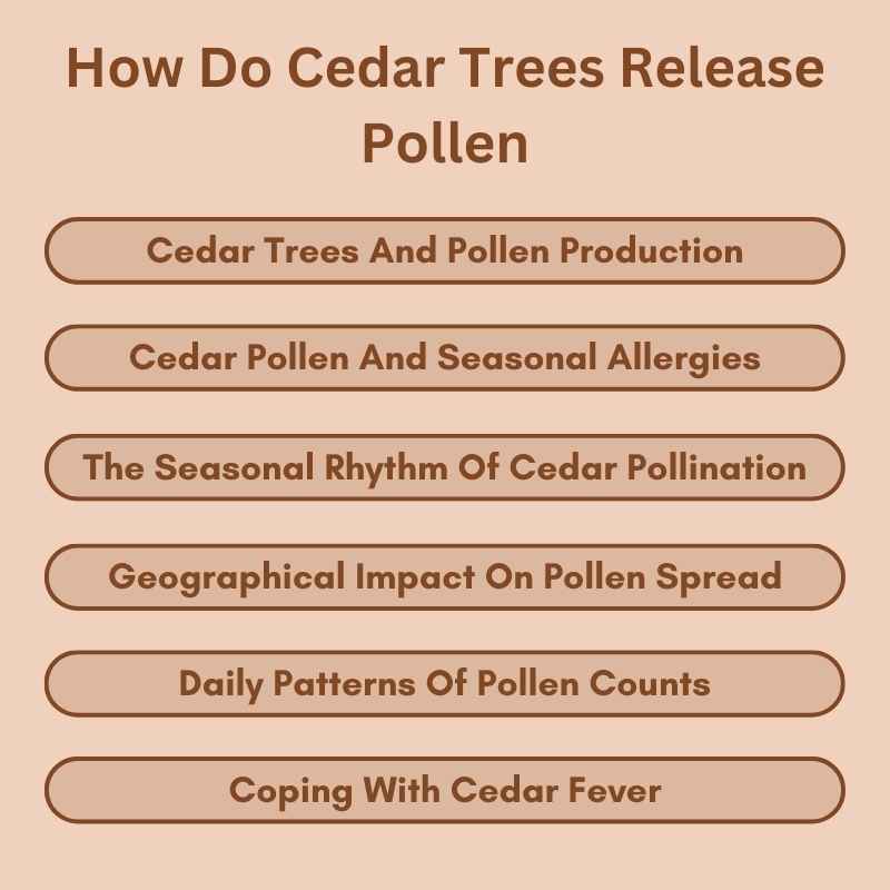 How Do Cedar Trees Release Pollen