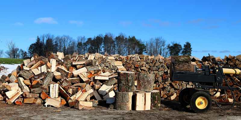 How Long Does Ash Wood Take to Dry