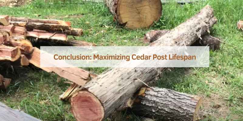 Conclusion: Maximizing Cedar Post Lifespan