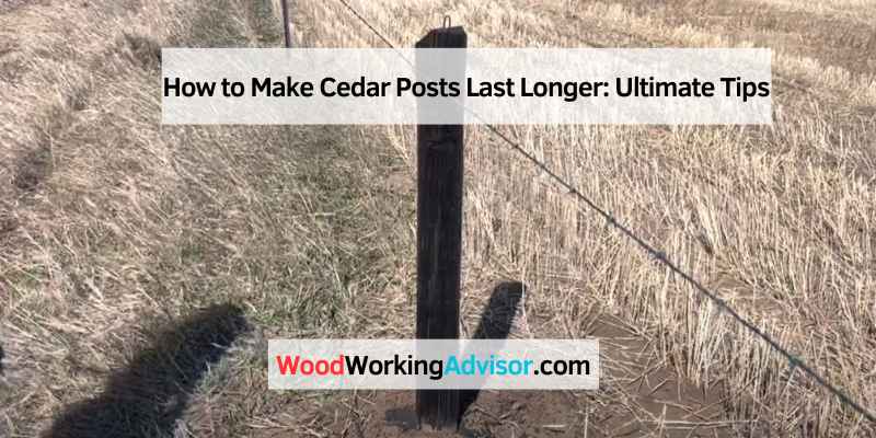 How to Make Cedar Posts Last Longer
