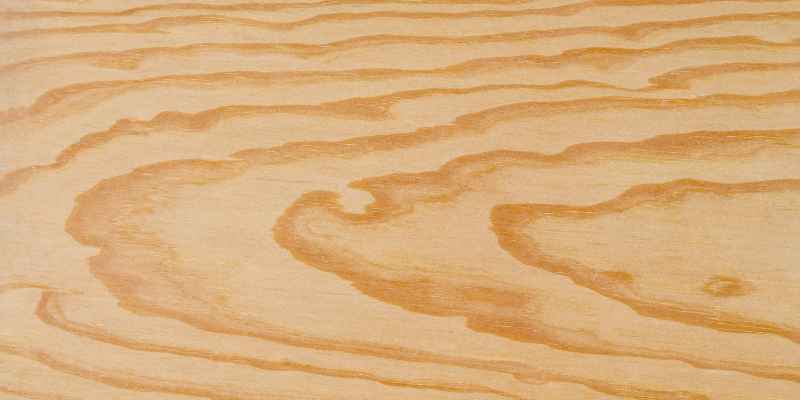 How to Raise the Grain on Wood