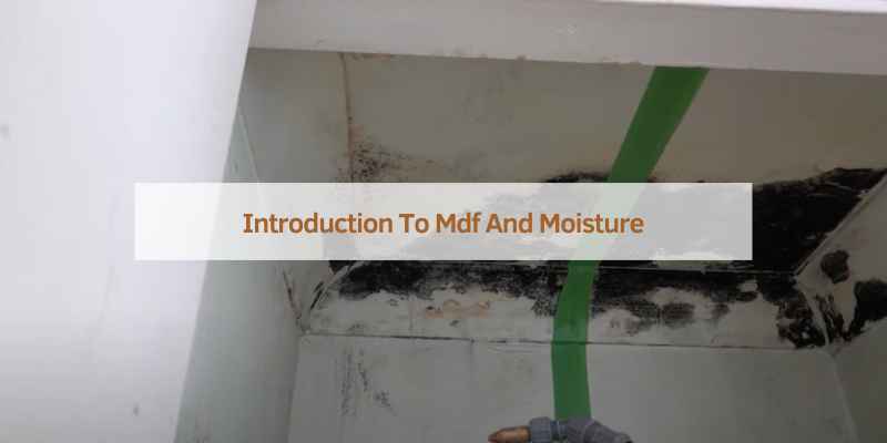 How to Stop MDF Shelves Going Mouldy