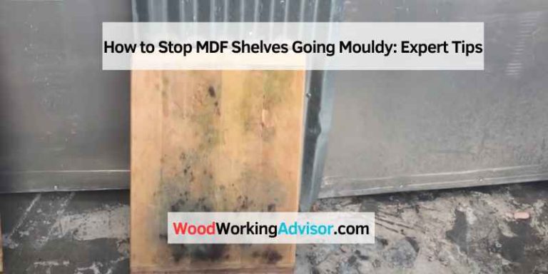 How to Stop MDF Shelves Going Mouldy