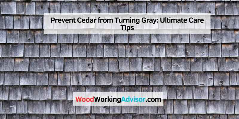 Prevent Cedar from Turning Gray