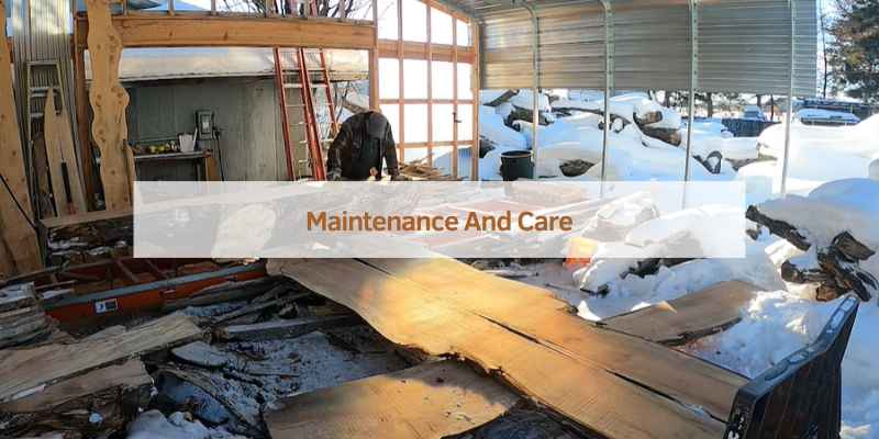 Maintenance And Care