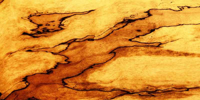 What Causes Spalting in Wood