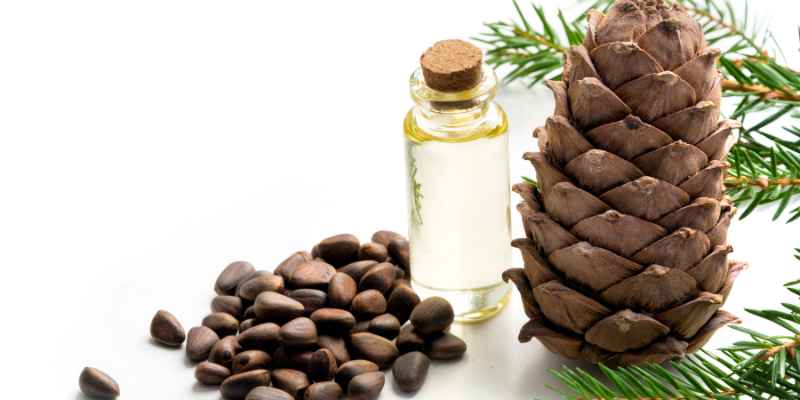 What Cedar Smells the Best