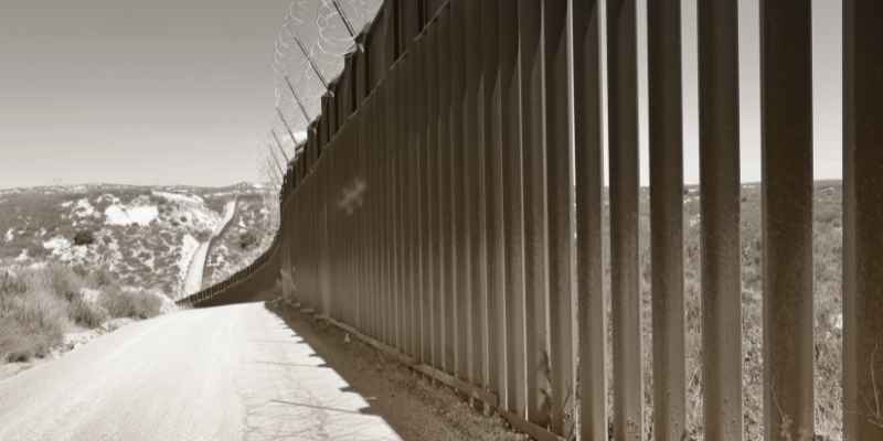 What Wood to Use for Fence