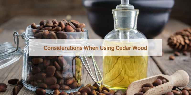 What are the Benefits of Cedar