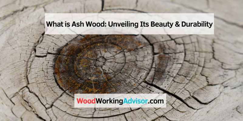 What is Ash Wood