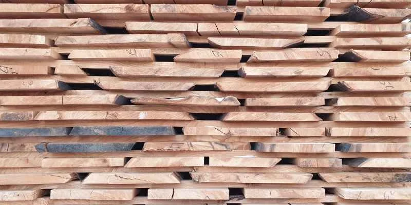 stack of freshly cut beech planks showing pale straw-colored grain at a lumber yard