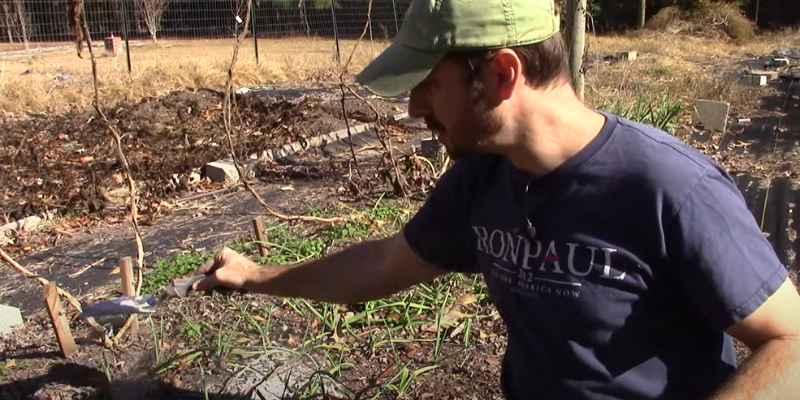 What is Wood Ash Good for