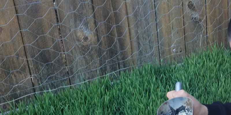 What is Wood Ash Good for