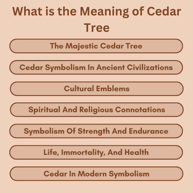 What is the Meaning of Cedar Tree