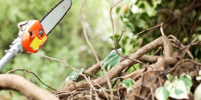 What's the Longest Pole Saw You Can Buy