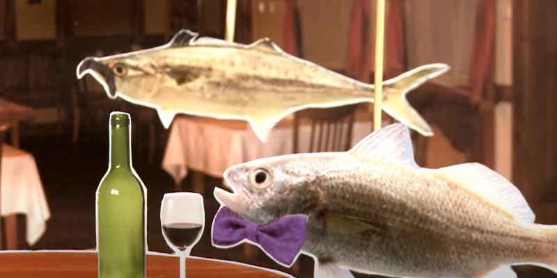 Why Does MDF Smell Like Fish