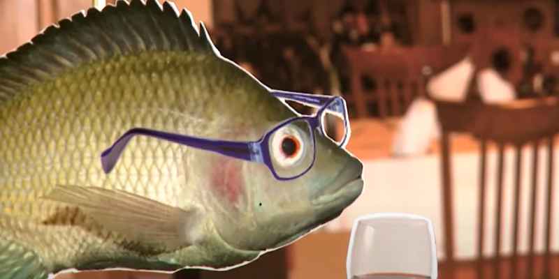 Why Does MDF Smell Like Fish