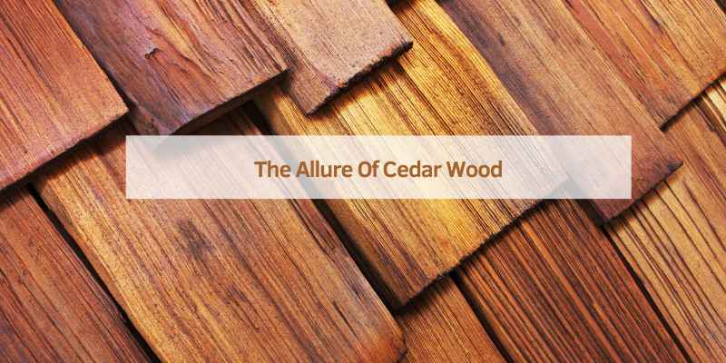 The Allure Of Cedar Wood
