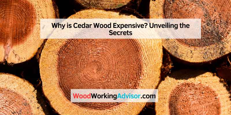 Why is Cedar Wood Expensive