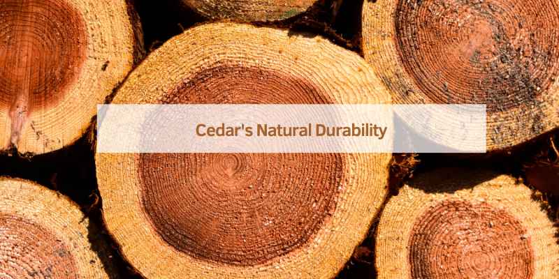 Cedar's Natural Durability