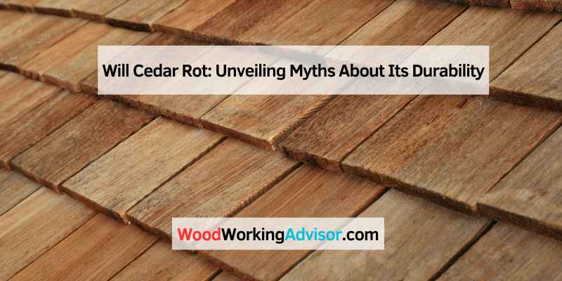 Will Cedar Rot