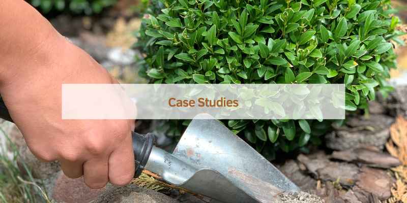 Case Studies