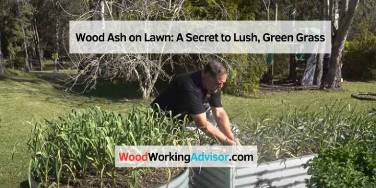 Wood Ash on Lawn