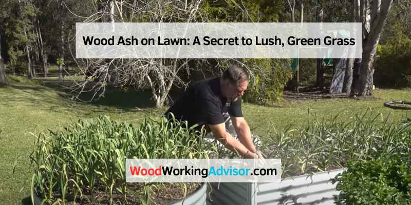 Wood Ash on Lawn