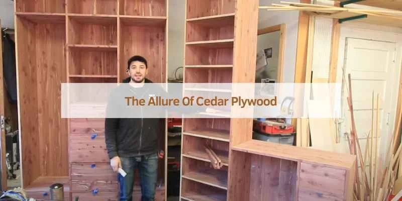 Cedar Plywood for Closets