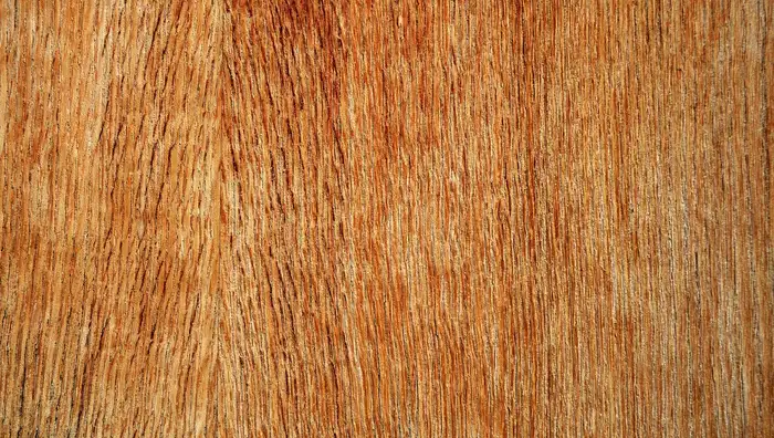 Close-up of plywood veneer wood grain layers