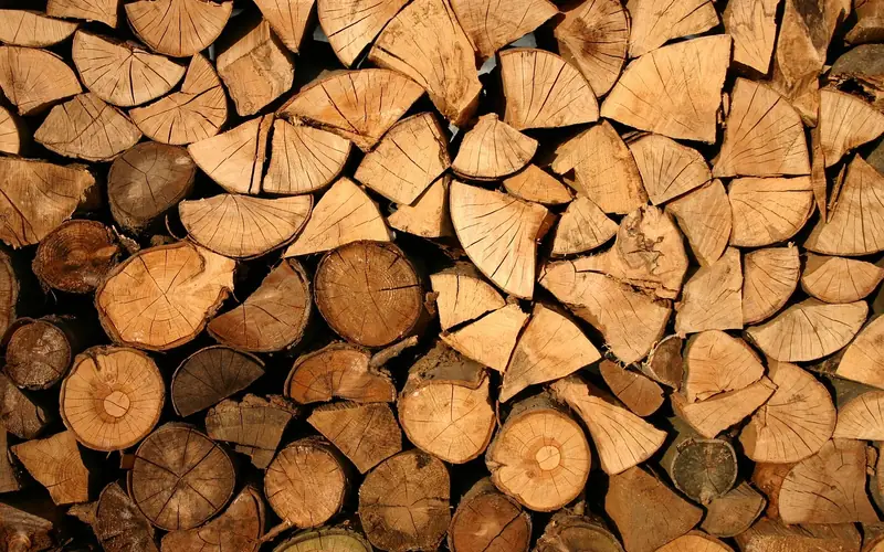 Freshly split green firewood showing light, wet-looking cut faces