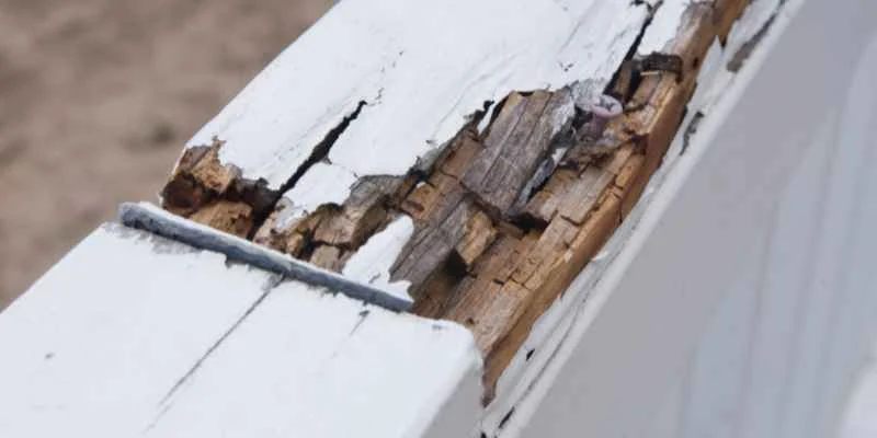 Testing wood for rot