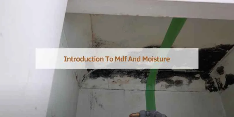 Black mould growing along the edge of an MDF shelf inside a damp cabinet