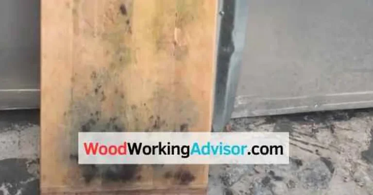 Mould damage on an MDF shelf board caused by trapped moisture
