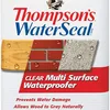Thompson's WaterSeal Multi-Surface Waterproofer Stain, Clear, 1 Gallon