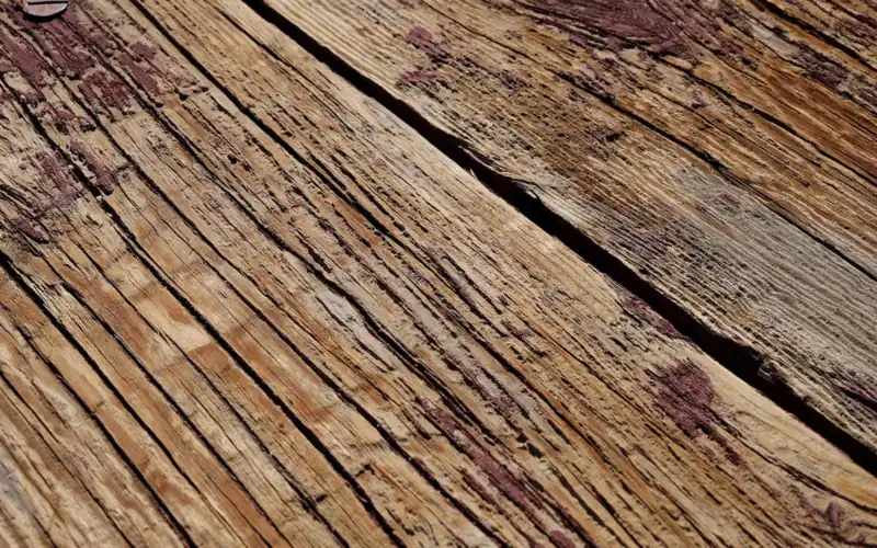 close-up of weathered cedar siding showing surface cracking and splintering along the grain