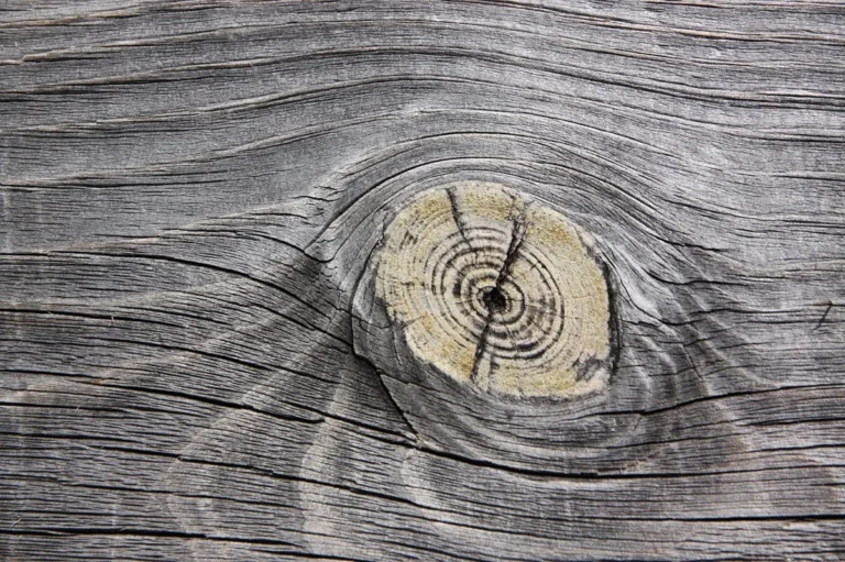 Weathered softwood board with a knot and raised grain ridges