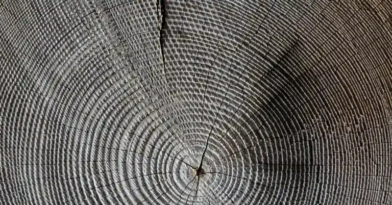 Close-up of a natural crack running through weathered wood grain, the type of split epoxy resin is used to fill and stabilize