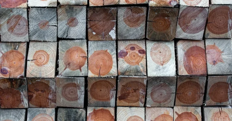 Stack of timber ends showing different end-grain growth ring patterns