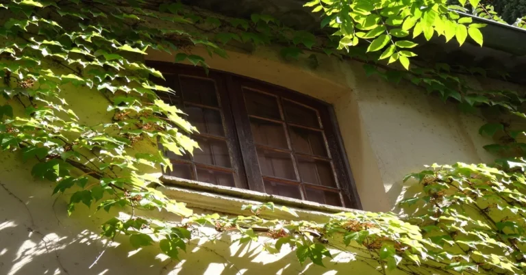 Wood-framed window with painted shutters compared to vinyl window frame