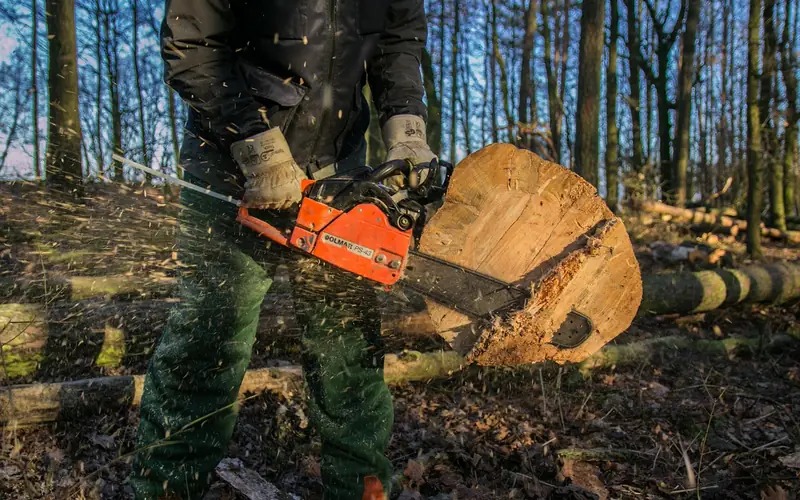 chainsaw operator cutting through a log, showing the chain engaged around the guide bar