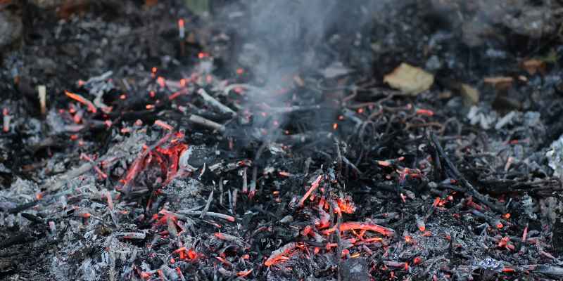 Ash Wood Burning